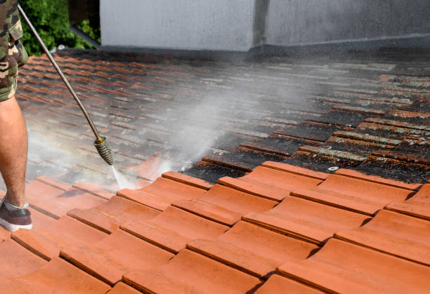 Best Pressure Washing Cost  in Sitka, AK