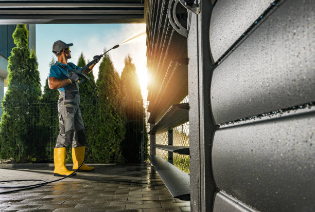 Best Roof Pressure Washing  in Sitka, AK